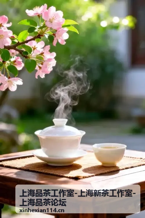 上海品茶工作室岩茶探店清单与门店环境背景